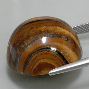 39,11 ctw natürlicher brauner Tiger's Eye, Rundschliff, Lichtundurchlässig