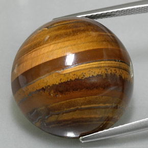 35,88 ctw natürlicher brauner Tiger's Eye, Rundschliff, Lichtundurchlässig