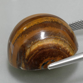 35,88 ctw natürlicher brauner Tiger's Eye, Rundschliff, Lichtundurchlässig