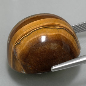 9,17 ctw natürlicher gold-braun Tigerauge, Rund Schliff, Lichtundurchlässig