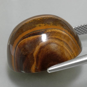 9,17 ctw natürlicher gold-braun Tigerauge, Rund Schliff, Lichtundurchlässig