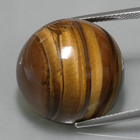 38,33 ctw natürlicher brauner Tiger's Eye, Rundschliff, Lichtundurchlässig