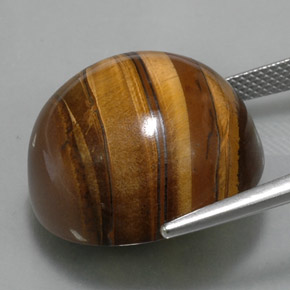 38,33 ctw natürlicher brauner Tiger's Eye, Rundschliff, Lichtundurchlässig