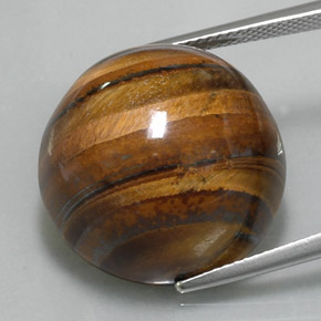 36,56 ctw natürlicher brauner Tiger's Eye, Rundschliff, Lichtundurchlässig