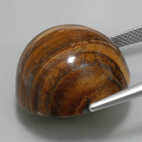 36,56 ctw natürlicher brauner Tiger's Eye, Rundschliff, Lichtundurchlässig