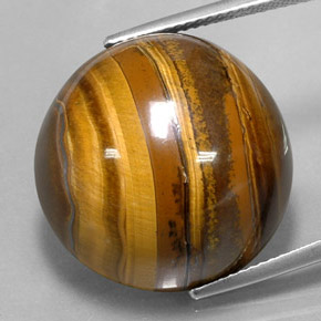37,72 ctw natürlicher brauner Tiger's Eye, Rundschliff, Lichtundurchlässig