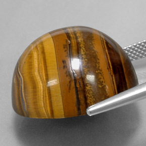 37,72 ctw natürlicher brauner Tiger's Eye, Rundschliff, Lichtundurchlässig