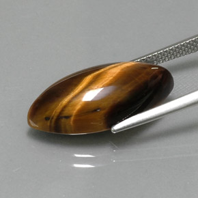 9,17 ctw natürlicher gold-braun Tigerauge, Marquise, Lichtundurchlässig