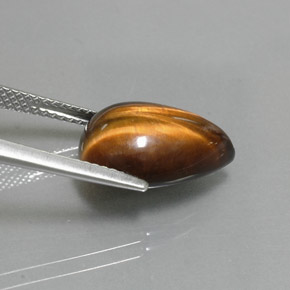 5,67 ctw natürlicher brauner Tiger's Eye, Birnenform, Lichtundurchlässig