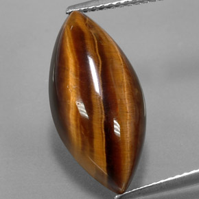 8,51 ctw natürlicher brauner Tiger's Eye, Marquise, Lichtundurchlässig