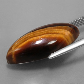 8,51 ctw natürlicher brauner Tiger's Eye, Marquise, Lichtundurchlässig