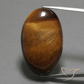 34.98ct Natürlicher Tiefes Zimtbraun Tigerauge, Oval, Lichtundurchlässig