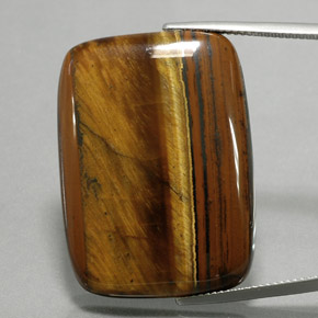 9,17 ctw natürlicher gold-braun Tigerauge, Kissenschliff, Lichtundurchlässig