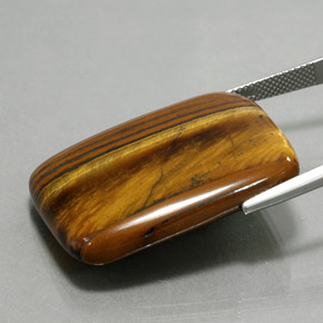 9,17 ctw natürlicher gold-braun Tigerauge, Kissenschliff, Lichtundurchlässig