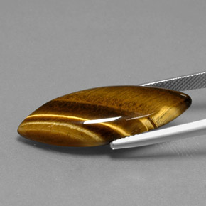 16,23 ctw natürlicher brauner Tiger's Eye, Marquise, Lichtundurchlässig