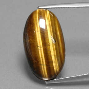 19,73 ctw natürlicher brauner Tiger's Eye, Oval Schliff, Lichtundurchlässig