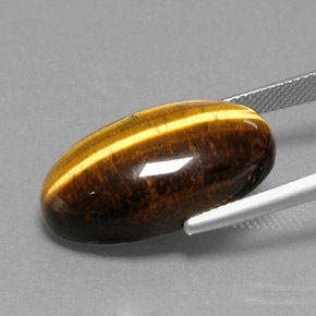 19,73 ctw natürlicher brauner Tiger's Eye, Oval Schliff, Lichtundurchlässig