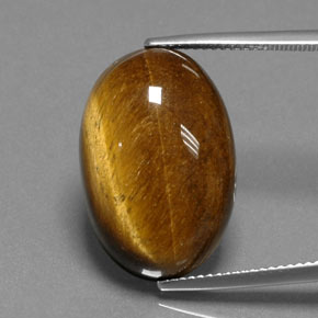 18,74 ctw natürlicher brauner Tiger's Eye, Oval Schliff, Lichtundurchlässig