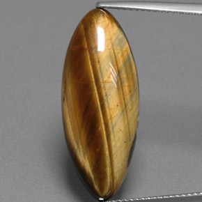 14,53 ctw natürlicher brauner Tiger's Eye, Marquise, Lichtundurchlässig