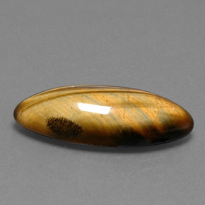14,53 ctw natürlicher brauner Tiger's Eye, Marquise, Lichtundurchlässig