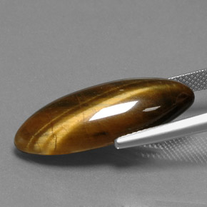 14,53 ctw natürlicher brauner Tiger's Eye, Marquise, Lichtundurchlässig