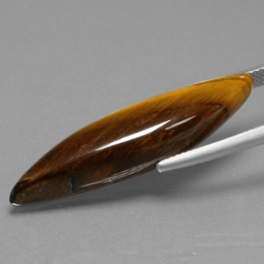 9,17 ctw natürlicher gold-braun Tigerauge, Ausgefallene Form, Lichtundurchlässig