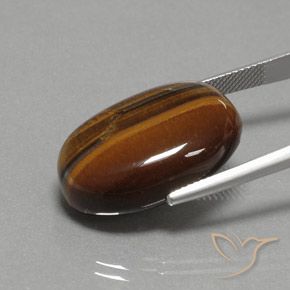 9,17 ctw natürlicher gold-braun Tigerauge, Oval, Lichtundurchlässig