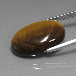 20,98 ctw natürlicher brauner Tiger's Eye, Oval Schliff, Lichtundurchlässig