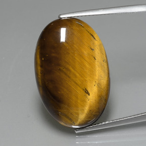 19,59 ctw natürlicher brauner Tiger's Eye, Oval Schliff, Lichtundurchlässig