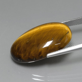 19,59 ctw natürlicher brauner Tiger's Eye, Oval Schliff, Lichtundurchlässig