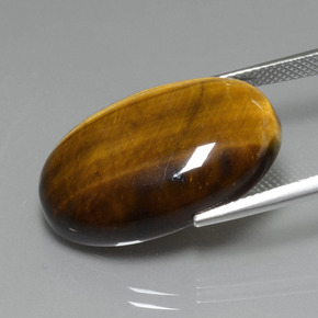 20,74 ctw natürlicher brauner Tiger's Eye, Oval Schliff, Lichtundurchlässig