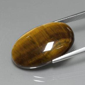 19,40 ctw natürlicher brauner Tiger's Eye, Oval Schliff, Lichtundurchlässig