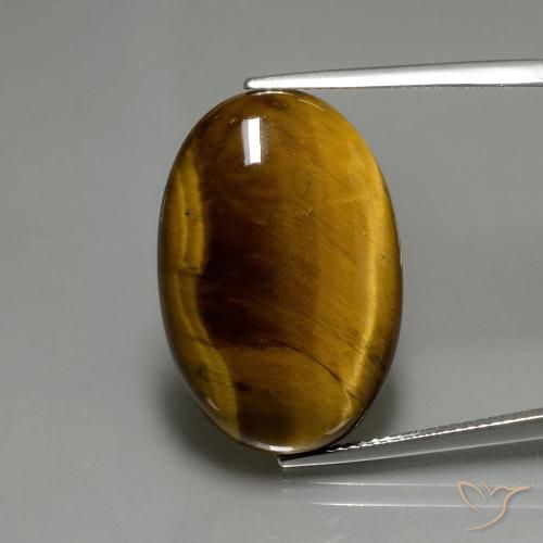 20.09ct Natürlicher Mittel braun Tigerauge, Oval, Lichtundurchlässig