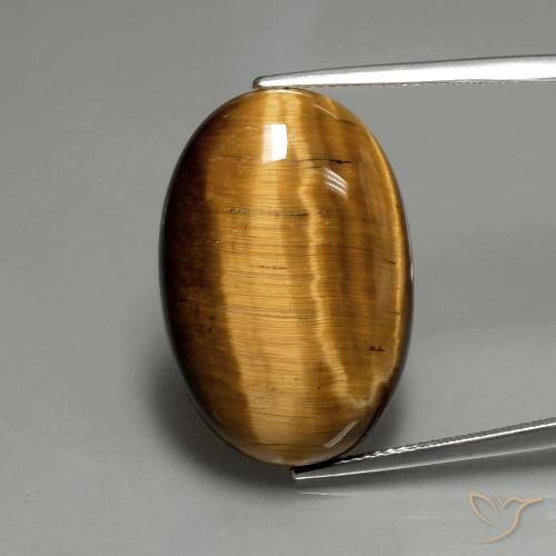 20.74ct Natürlicher Mittel braun Tigerauge, Oval, Lichtundurchlässig
