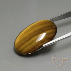 9,17 ctw natürlicher gold-braun Tigerauge, Oval, Lichtundurchlässig
