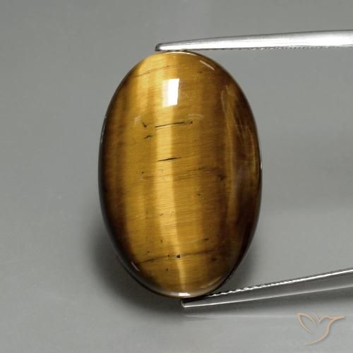 20.36ct Natürlicher gold-braun Tigerauge, Oval, Lichtundurchlässig