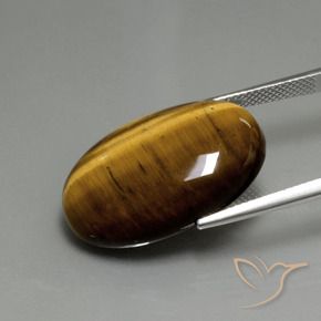 9,17 ctw natürlicher gold-braun Tigerauge, Oval, Lichtundurchlässig