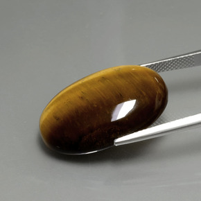 20,21 ctw natürlicher brauner Tiger's Eye, Oval Schliff, Lichtundurchlässig