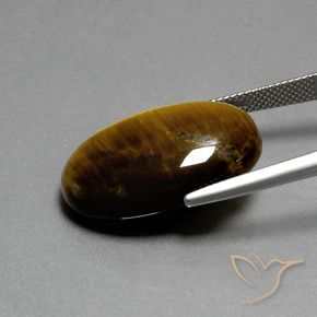 9,17 ctw natürlicher Warmes Braun Tigerauge, Oval, Lichtundurchlässig