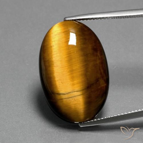19.68ct Natürlicher Mittel braun Tigerauge, Oval, Lichtundurchlässig