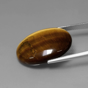 22,74 ctw natürlicher brauner Tiger's Eye, Oval Schliff, Lichtundurchlässig