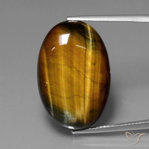 20.61ct Natürlicher Mittel braun Tigerauge, Oval, Lichtundurchlässig