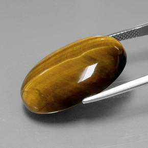 20,54 ctw natürlicher brauner Tiger's Eye, Oval Schliff, Lichtundurchlässig