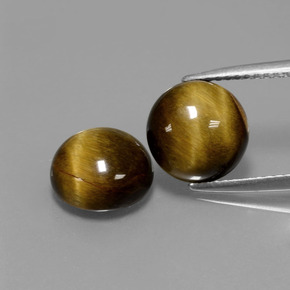  ct natürliche gold-braun Tigerauge-Edelsteine, Rund Schliff, Lichtundurchlässig