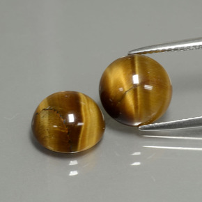  ct natürliche brauner Tiger's Eye-Edelsteine, Rundschliff, Lichtundurchlässig