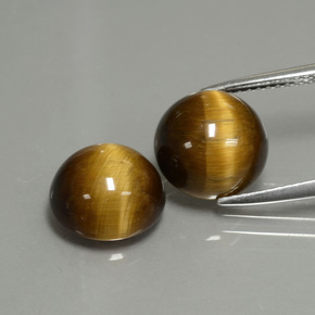  ct natürliche gold-braun Tigerauge-Edelsteine, Rund Schliff, Lichtundurchlässig