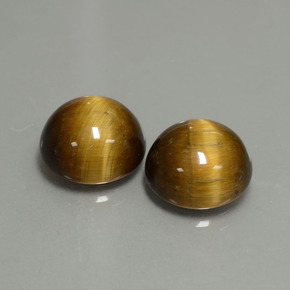  ct natürliche gold-braun Tigerauge-Edelsteine, Rund Schliff, Lichtundurchlässig