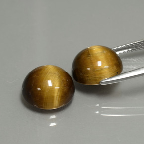  ct natürliche gold-braun Tigerauge-Edelsteine, Rund Schliff, Lichtundurchlässig