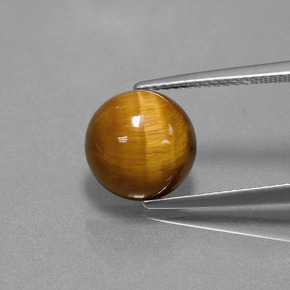 3,69 ctw natürlicher brauner Tiger's Eye, Rundschliff, Lichtundurchlässig
