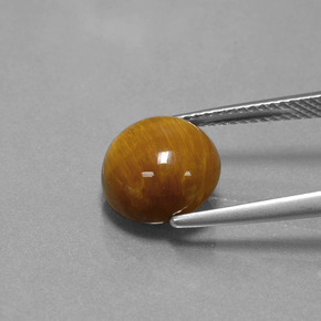 3,69 ctw natürlicher brauner Tiger's Eye, Rundschliff, Lichtundurchlässig